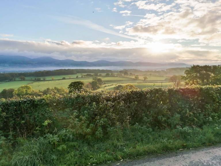 Cottage Ruthin