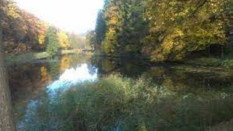 foto19