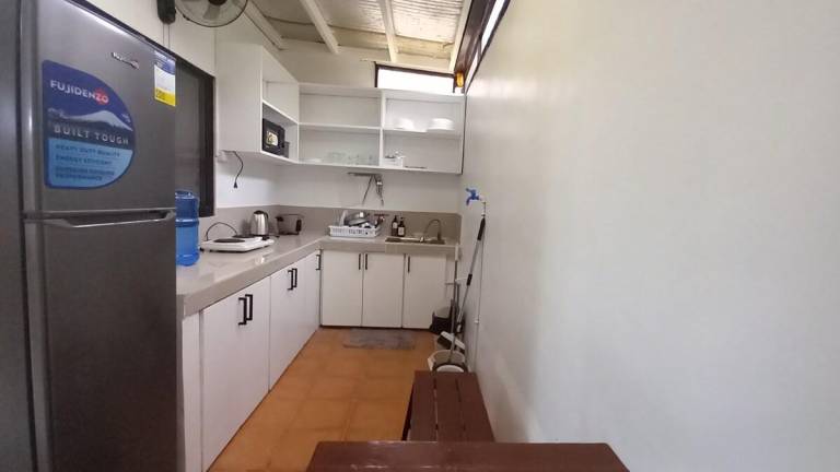 Apartment with grill — photo 4