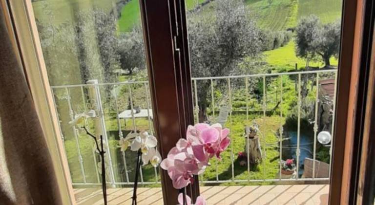 Vacation home with barbecue & garden | Pets allowed — photo 4
