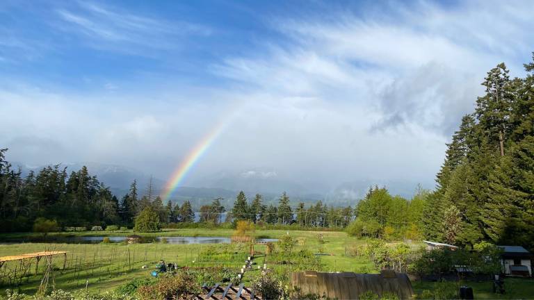 House  Hornby Island