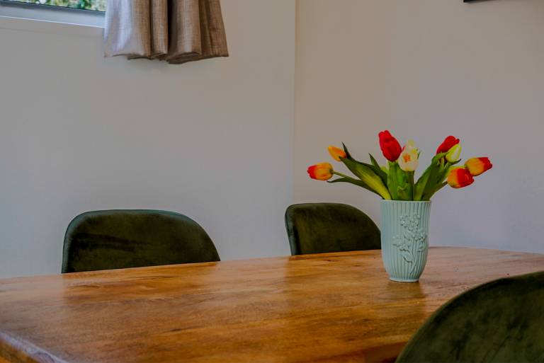 Ferienhaus mit Hund inHaarle, Niederlande  f&uuml;r max. 4 Personen