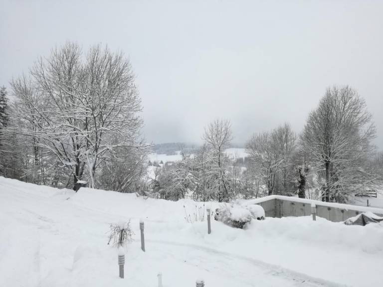 Logement  La Pesse