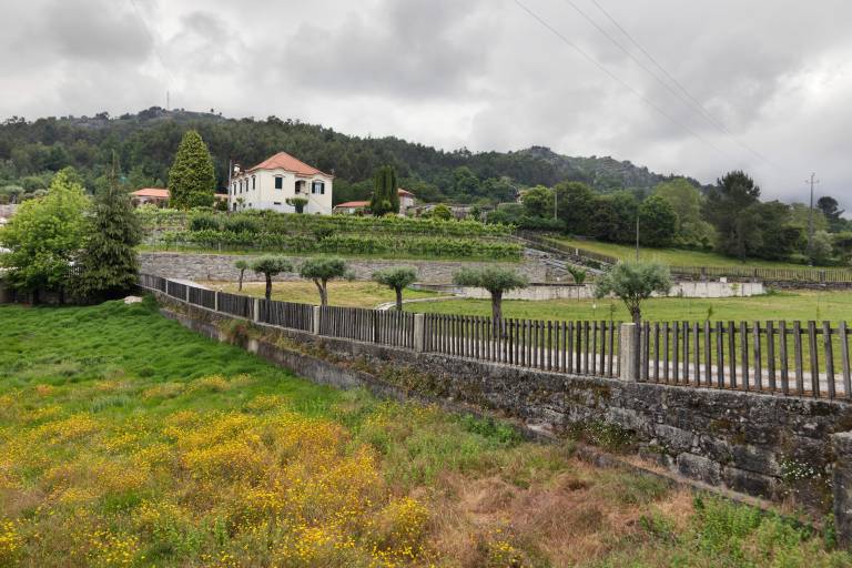 foto41