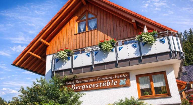 Self-check-in Ferienwohnungen & Apartments am Bergsee — photo 2