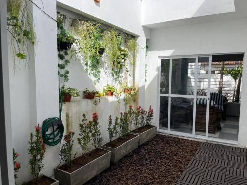 Apartamento Cordeiro