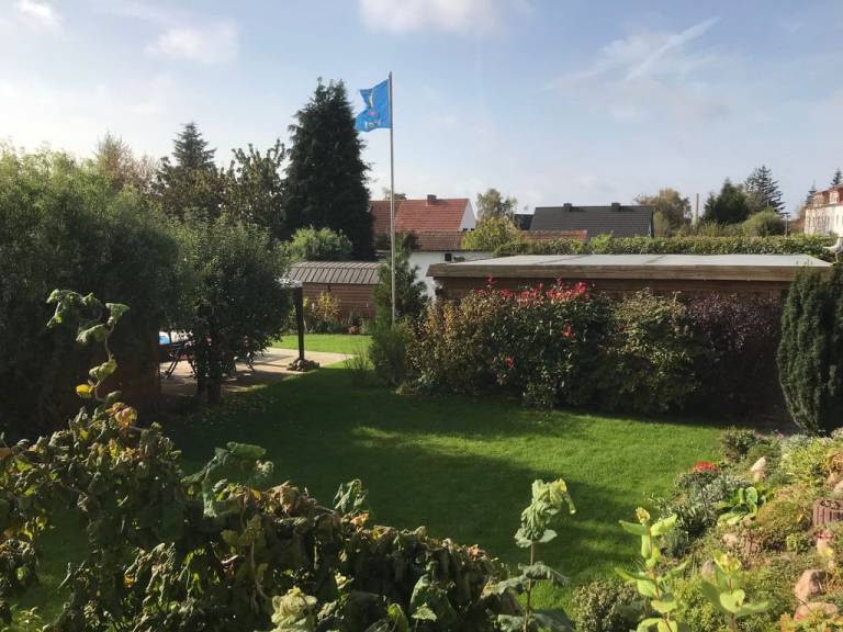 foto16