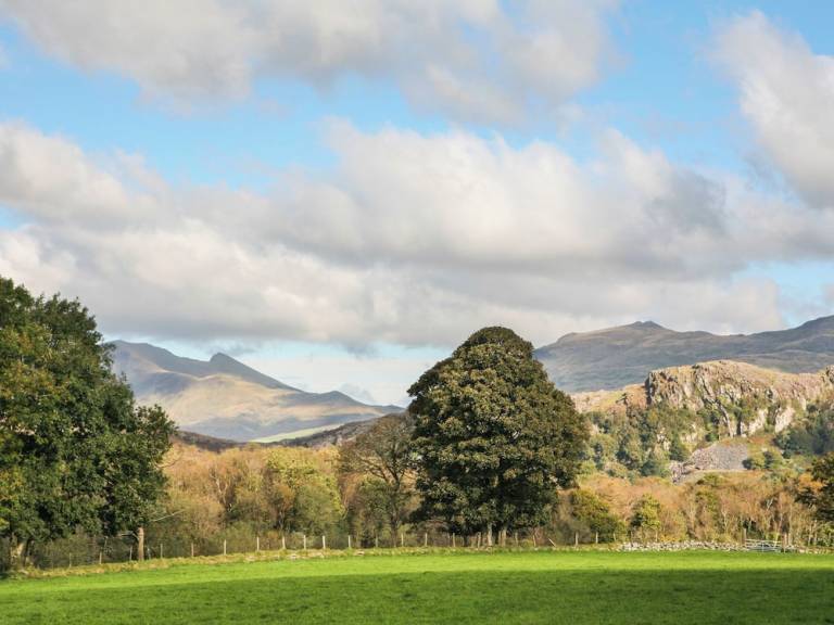Cottage  Beddgelert