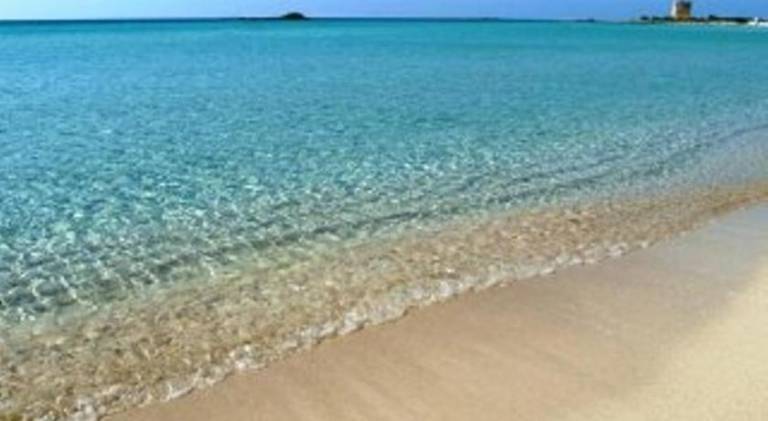 Rental apartment | Beach nearby | Pets are welcome — photo 5