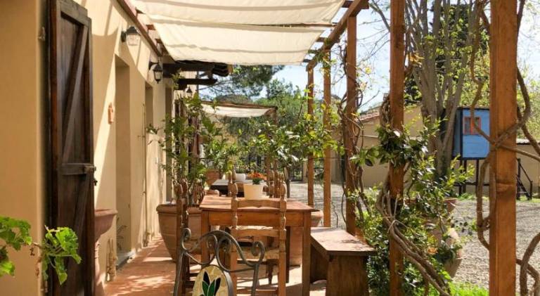 Rental apartment with yard | Dogs allowed — photo 3