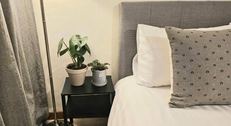 50 m² Ferienwohnung