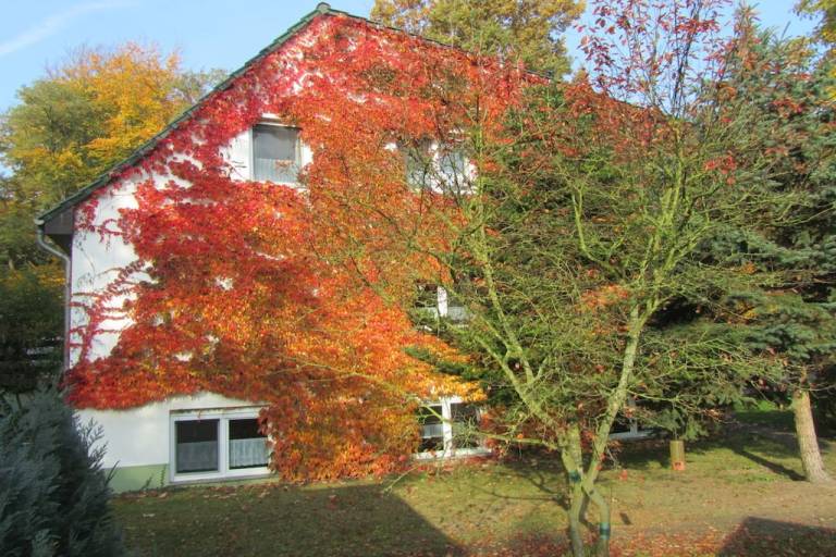 Ferienhaus Gransee