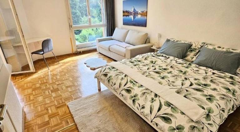 Lovely holiday apartment with yard | Good for workation | Pets allowed in Kriens
