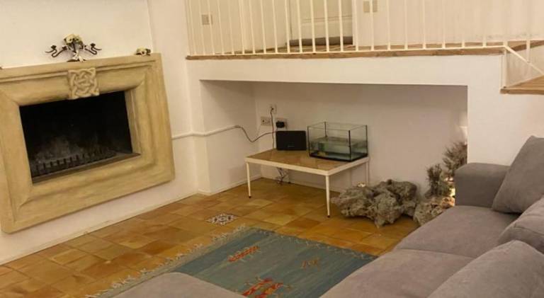 Rental apartment | Pets are welcome — photo 2