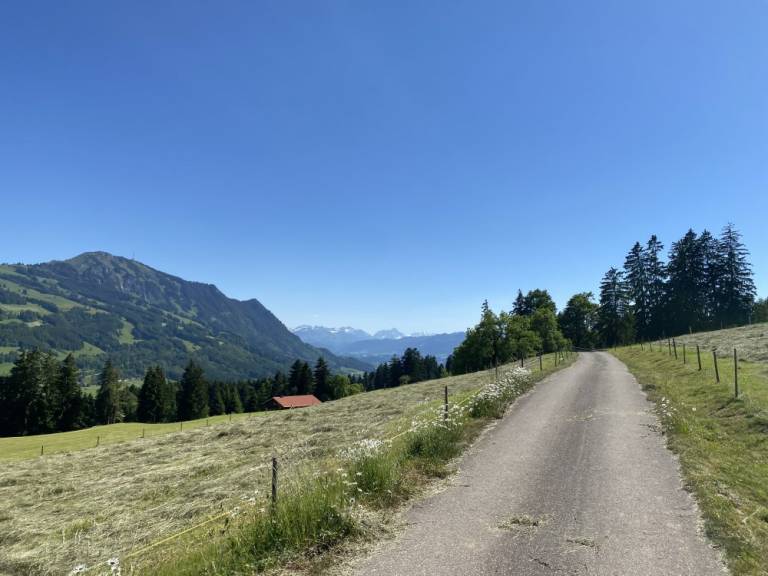 foto27