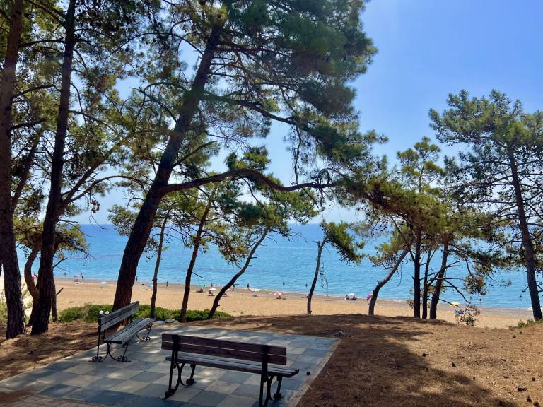 foto25
