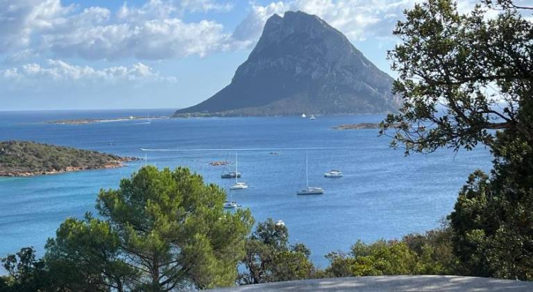 Wonderful vacation home | Next to the beach | Pet-friendly in Loiri Porto San Paolo