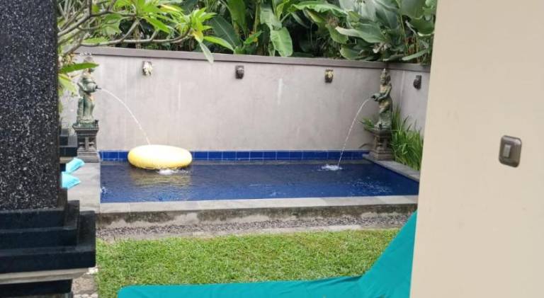 Villa with pool — photo 4