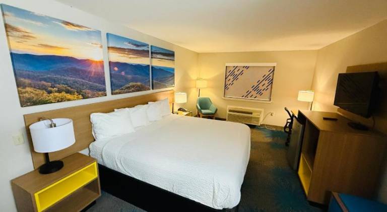 Days Inn & Suites by Wyndham Brinkley — photo 2