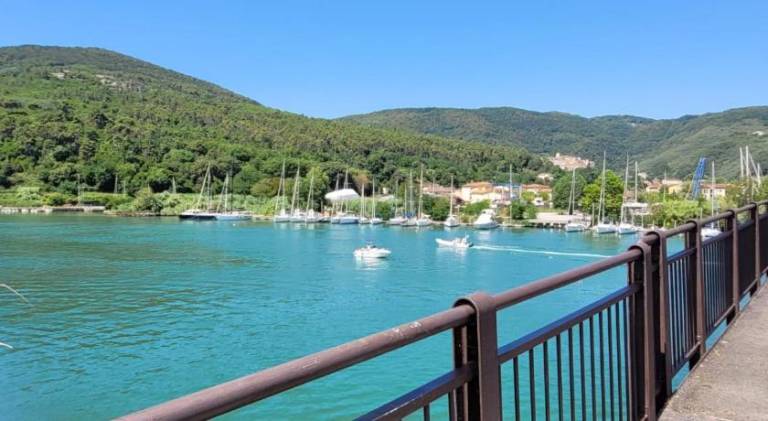 Holiday apartment with 1 room for 4 persons — photo 5