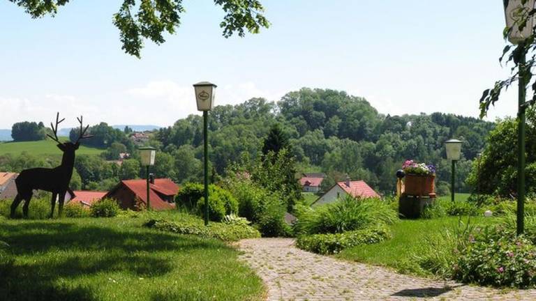 foto2