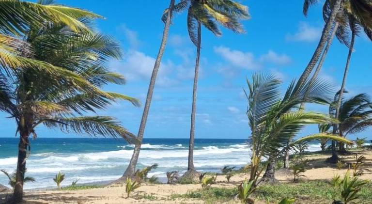 Cabana Bem-Te-Vi — photo 4