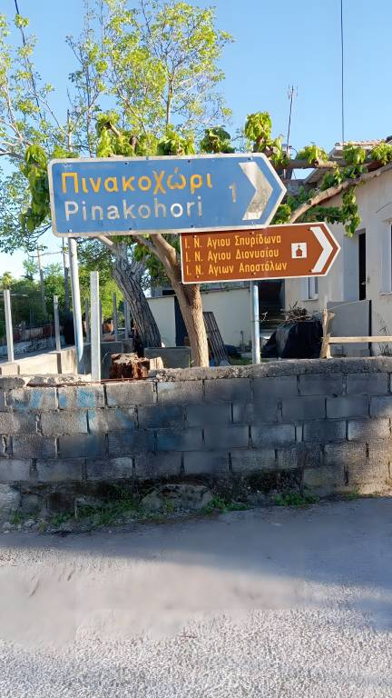 foto31