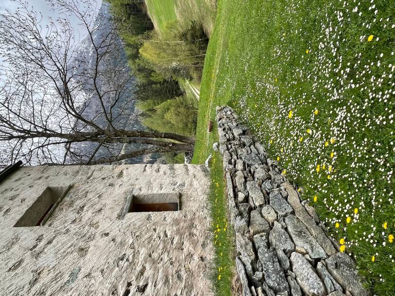 foto41