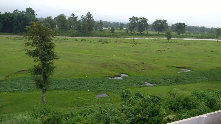 Shri Vyas Homestays — photo 2