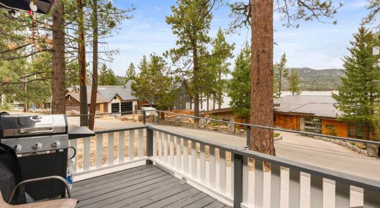 Bear Necessities - Lake Adjacent, Pool Table, Dog Run, Water Views — photo 5