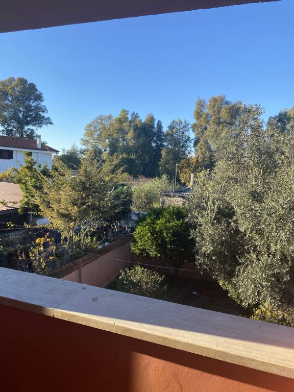 foto26