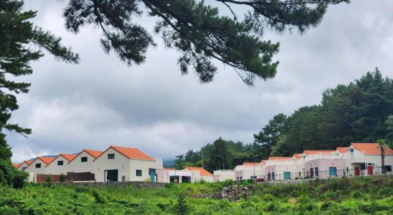 foto41