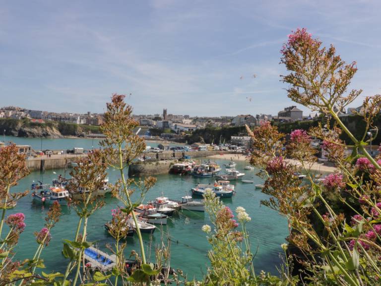 Cottage with garden & terrace | Beach view — photo 4