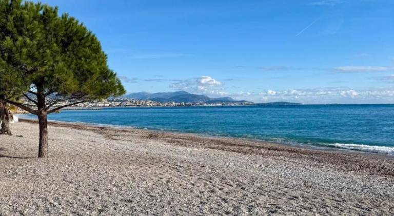 Holiday apartment with 1 room for 2 persons in Biot
