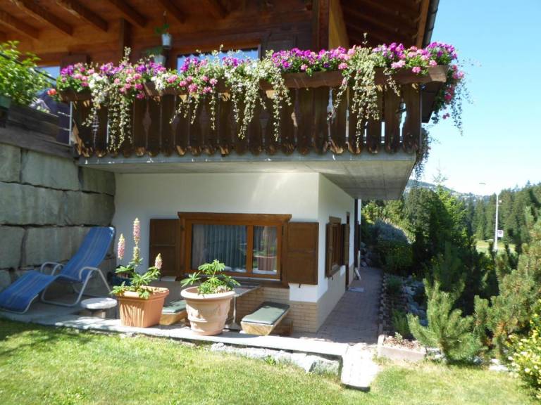 foto5