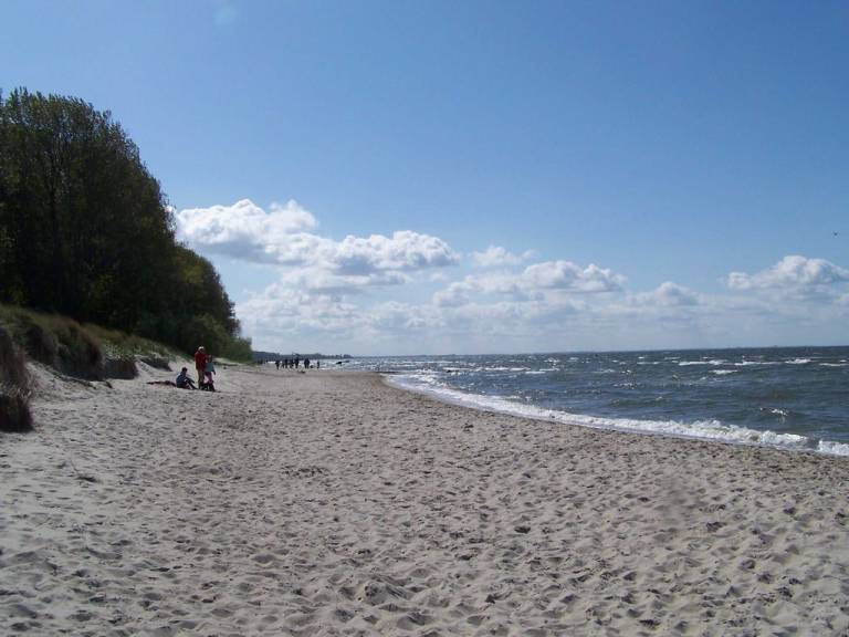 foto20