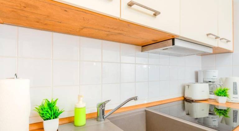 Spacious apartment | Pets are welcome — photo 4