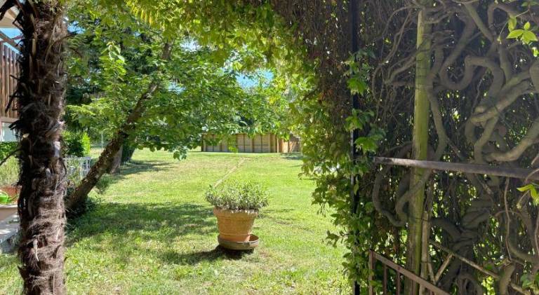 foto41