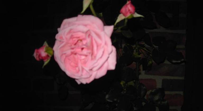foto6