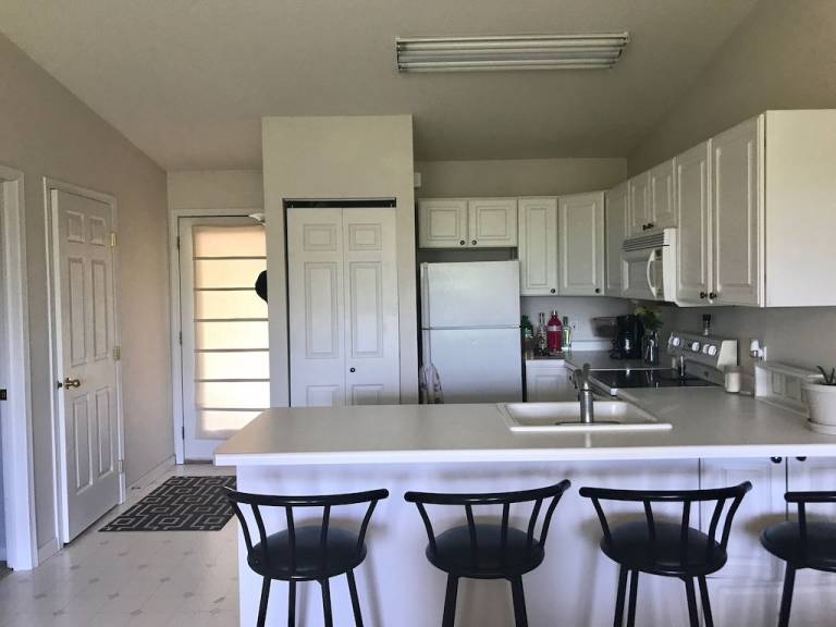 Condo Wabasha