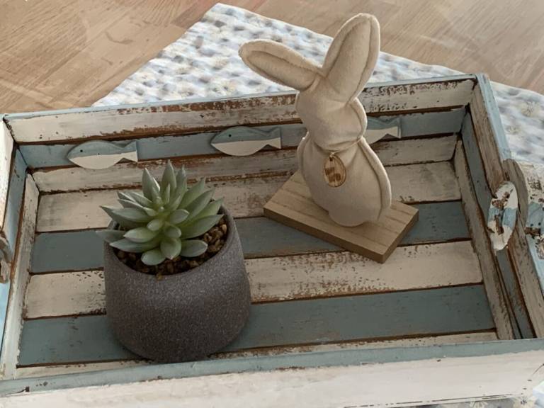 foto12