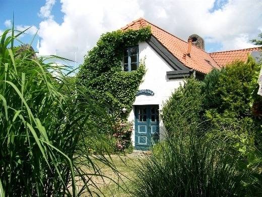 foto1
