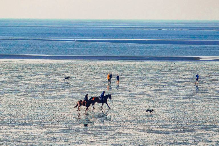 HZ09 – Logenplatz mit Meerblick: 3-Raum-Ferienwohnung direkt am Strand — photo 2