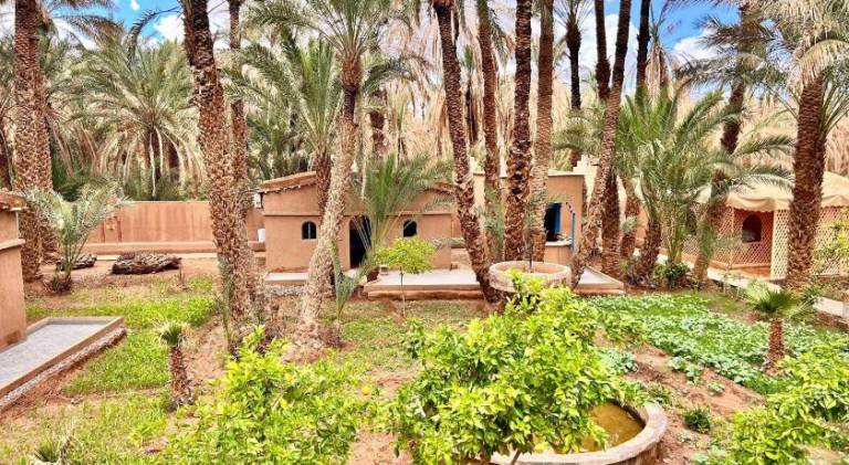 Serenity Lodge Zagora Guest House Restaurant & Desert Excursions — photo 2