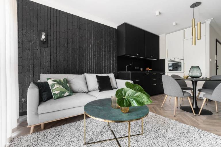 Fully equipped apartment | Close to Golden Gate | Pets allowed in Gdansk