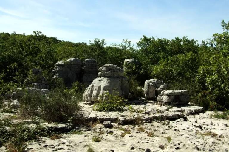foto15