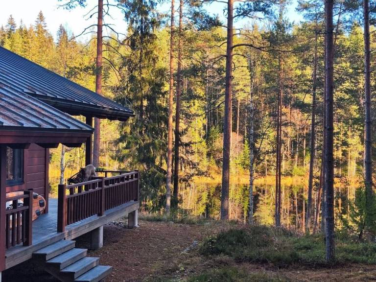 Villa  Rautjärvi