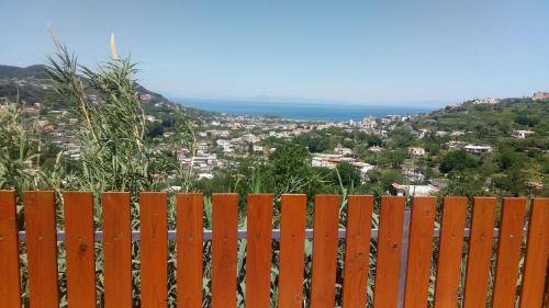 House Ischia