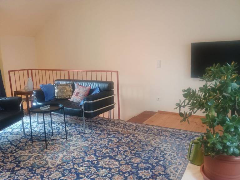 foto14
