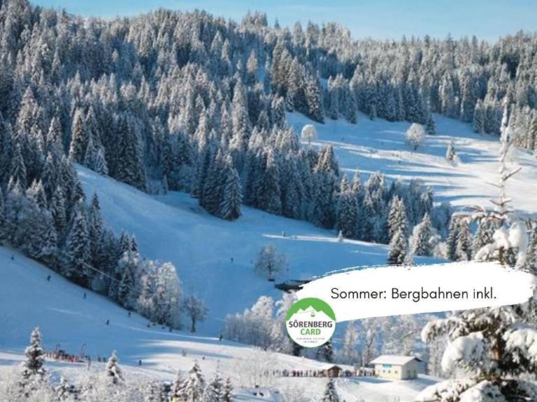 Fully equipped apartment with garden & barbeque | Nature view | Ski nearby | Pets allowed — photo 2